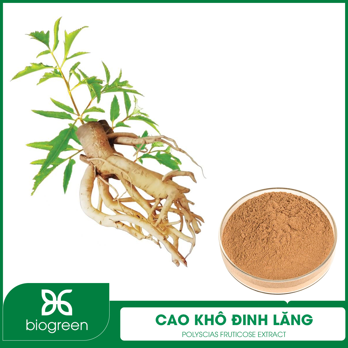 Cao khô Đinh Lăng