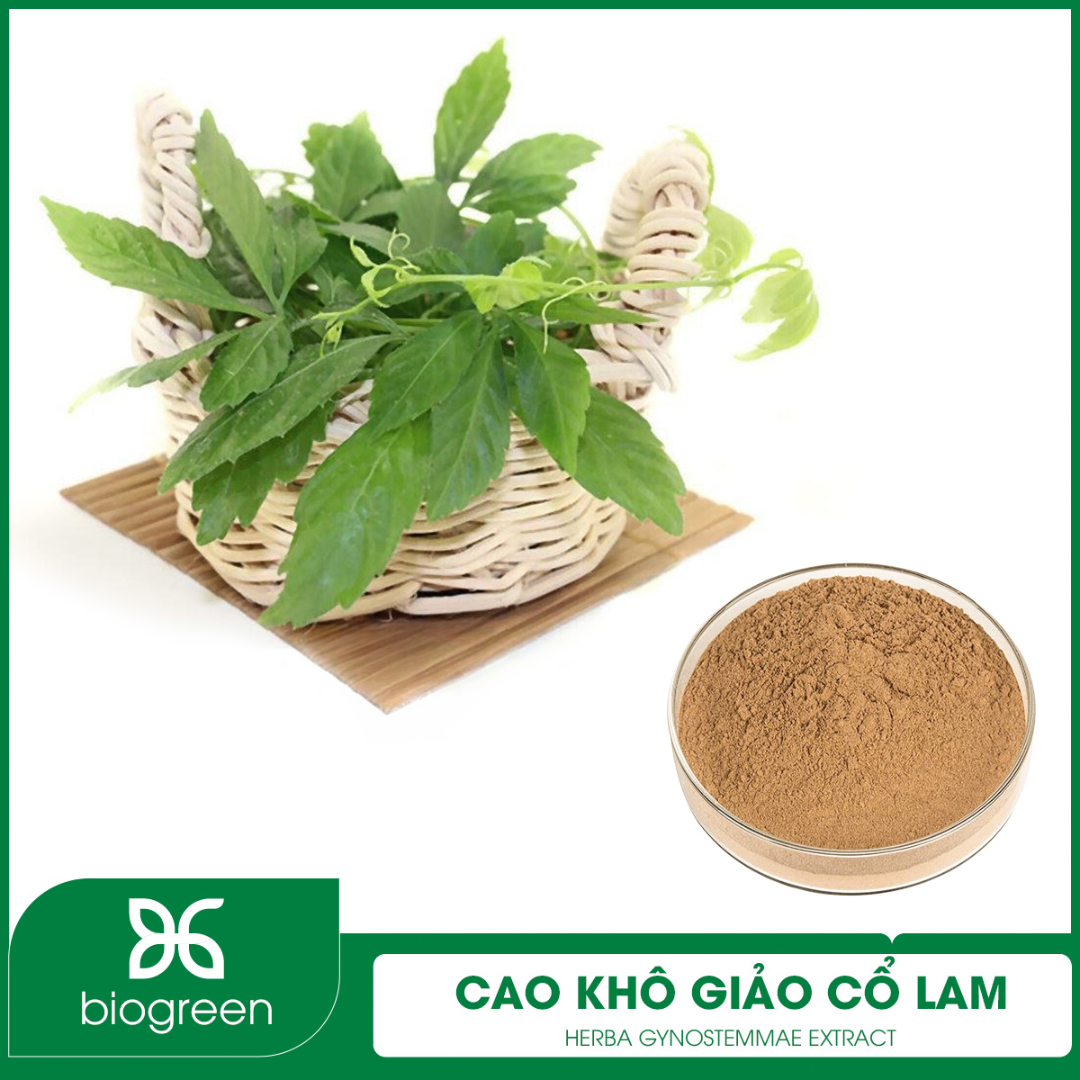 Cao khô Giảo Cổ Lam