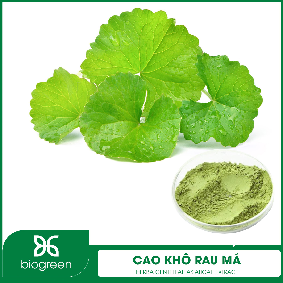 Cao khô Rau má