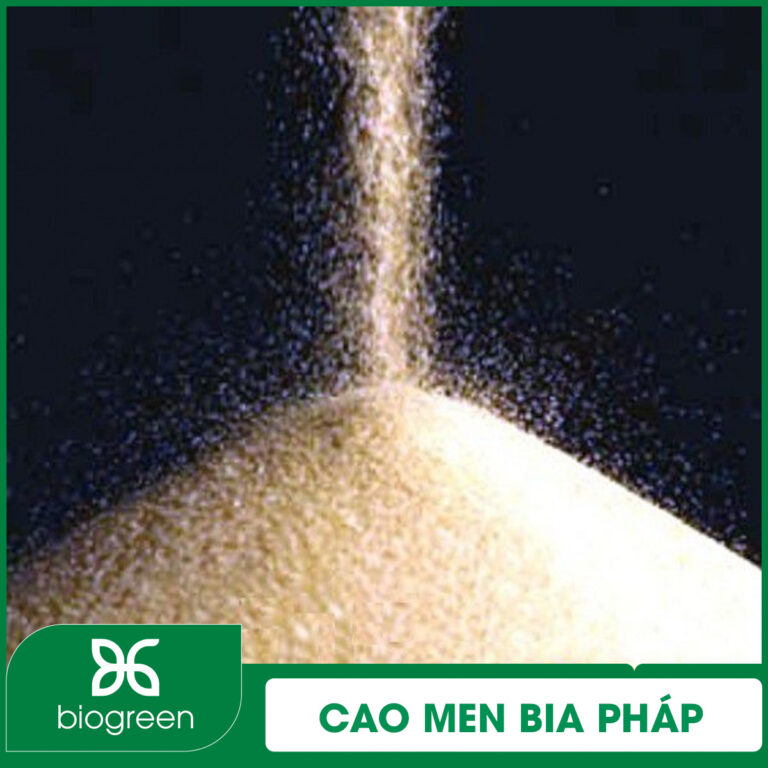 Cao men bia Pháp