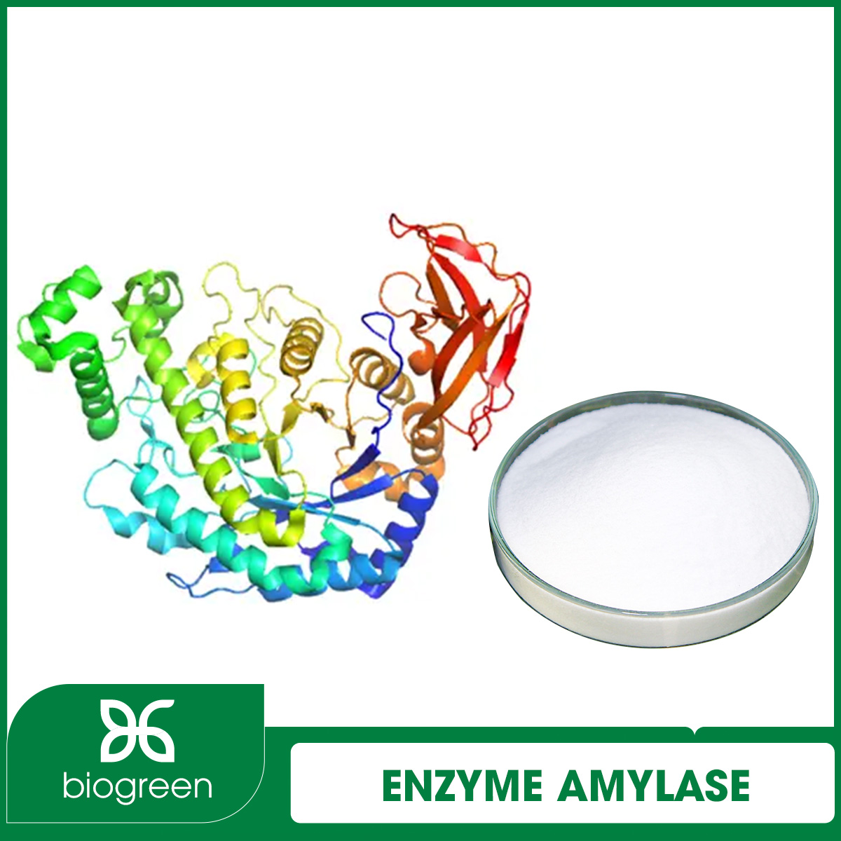 Nguyên liệu Enzyme Amylase (dạng bột)