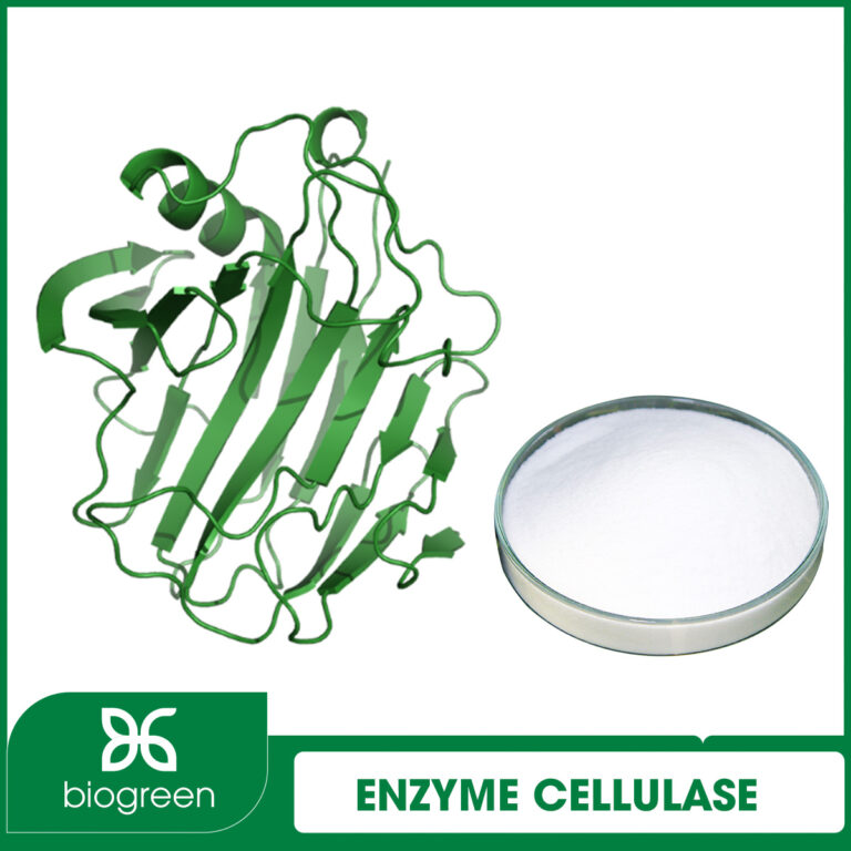 Nguyên liệu enzyme Cellulase