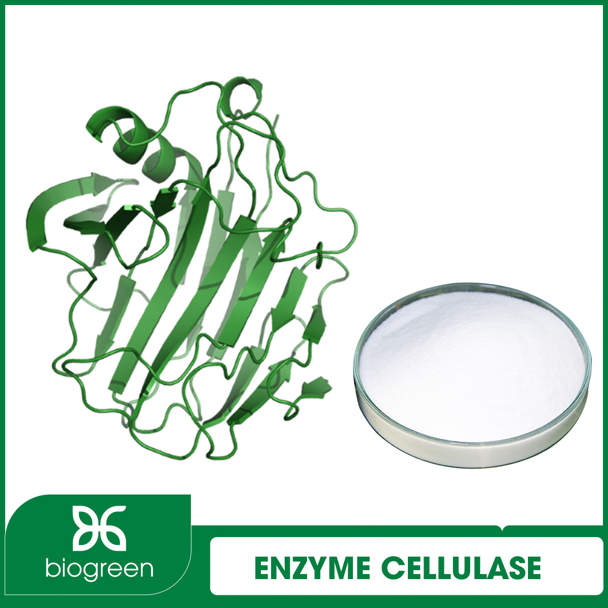 Nguyên liệu enzyme Cellulase