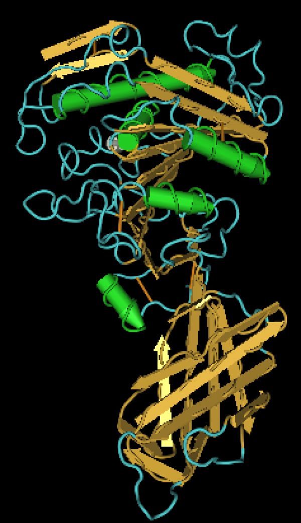 Nguyên liệu enzyme Lipase