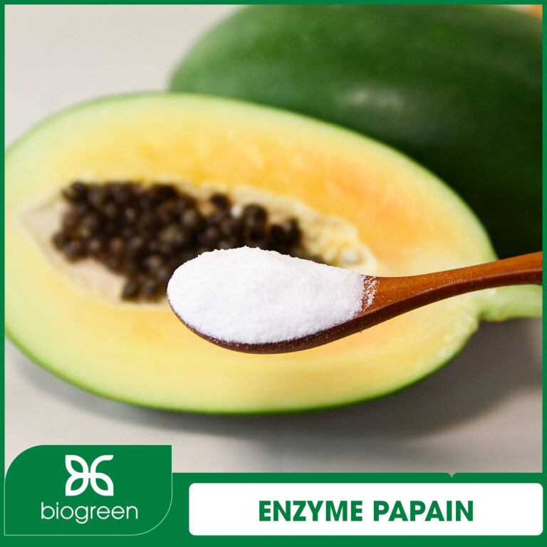 enzyme Papain
