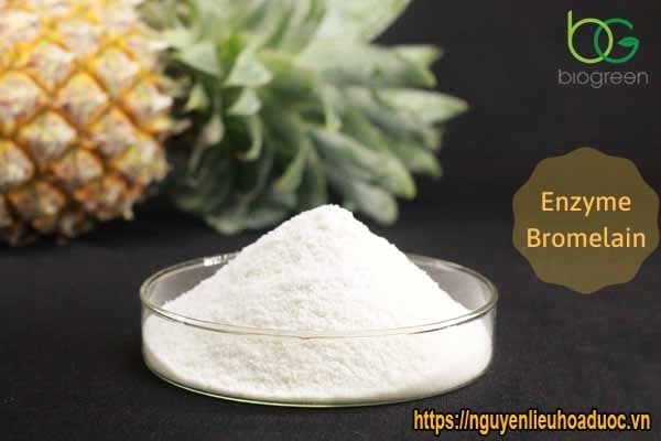 Nguyên liệu Enzyme Bromelain