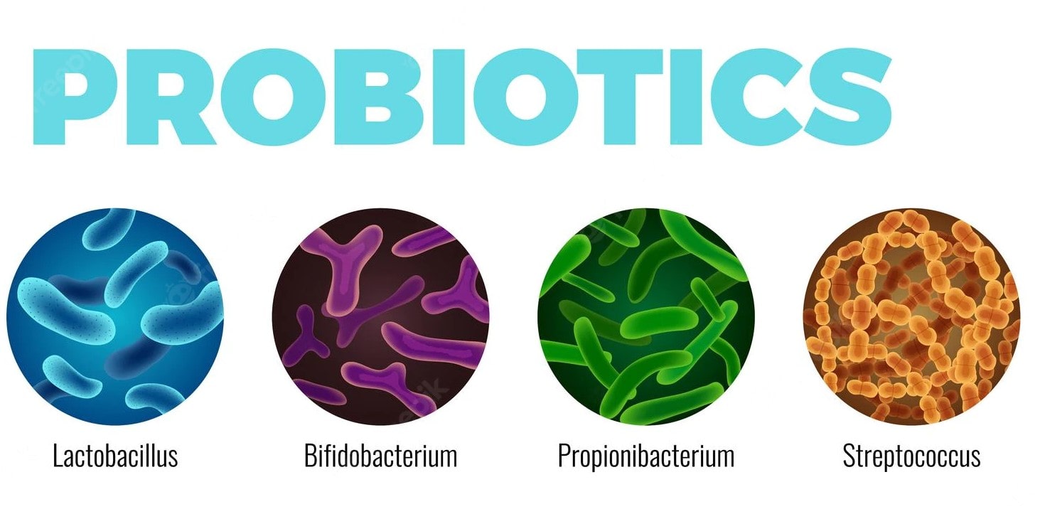 Probiotic hỗn hợp 3