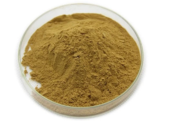 Cao khô bông mã đề 3