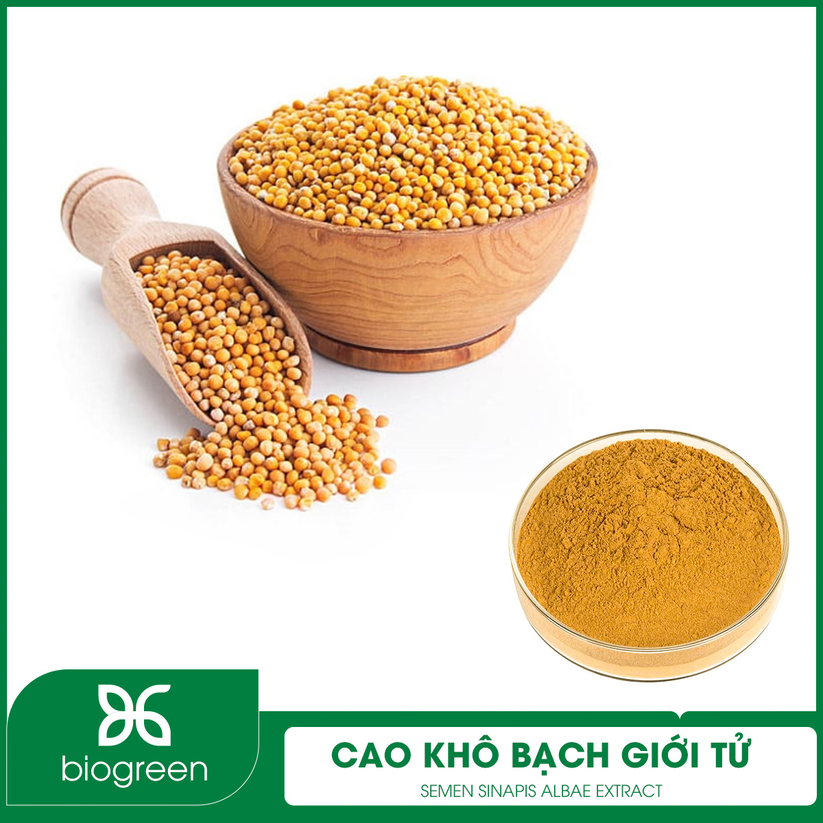 Cao khô Bạch giới tử