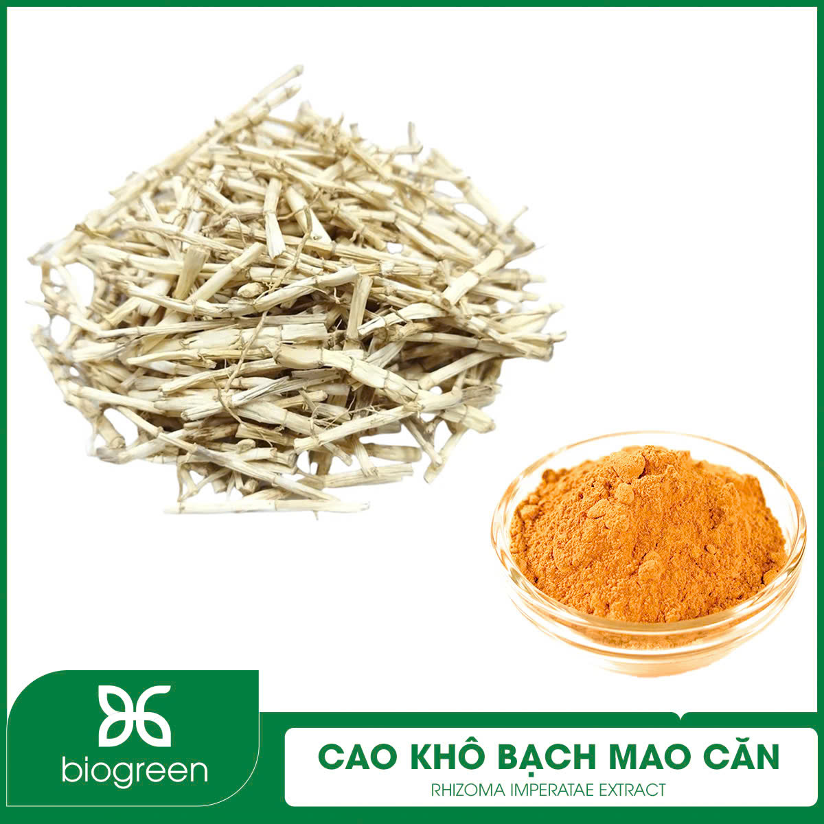 Cao khô Bạch mao căn