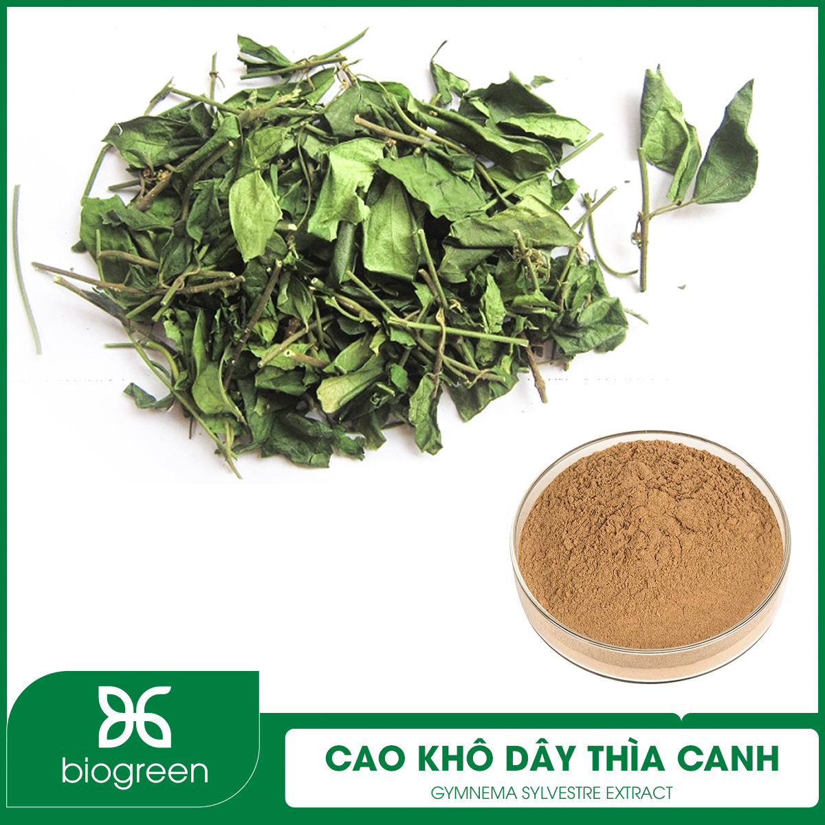 Cao khô Dây thìa canh