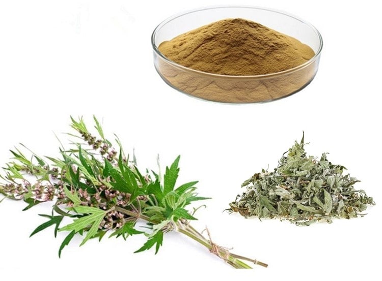 Cao khô ích mẫu 3
