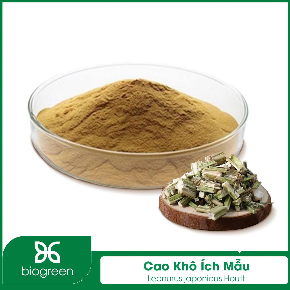 Cao khô Ích mẫu