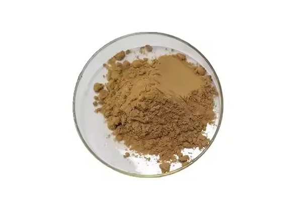 Cao khô nhân trần 3