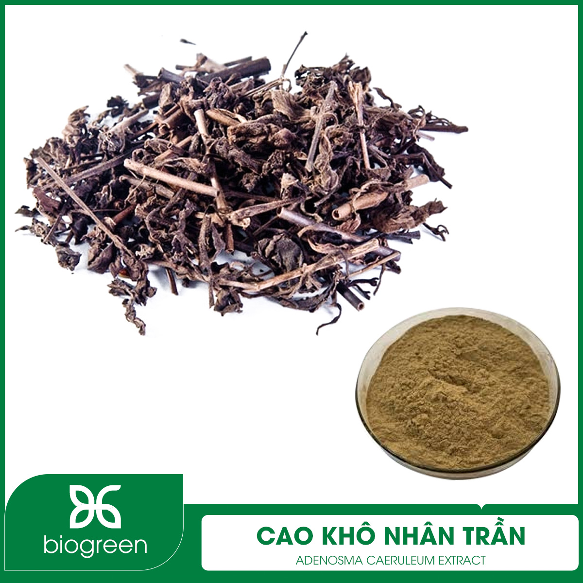 Cao khô Nhân trần