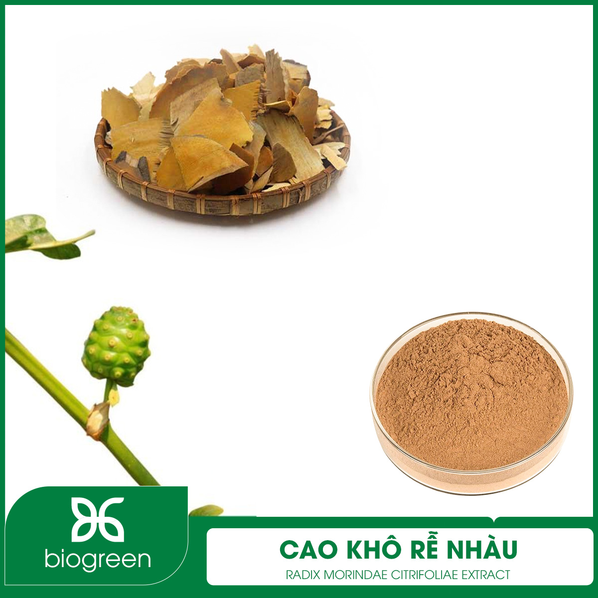 Cao khô Rễ nhàu