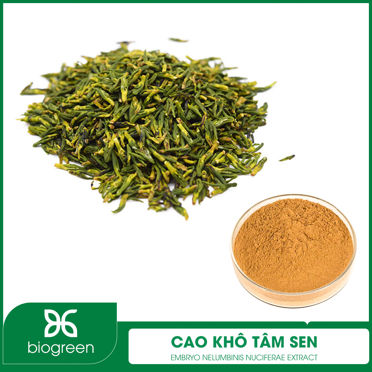 Cao khô Tâm sen