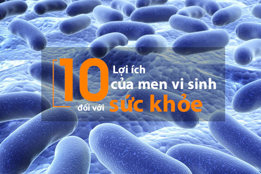 9+ lợi ích của men vi sinh với sức khỏe không phải ai cũng biết