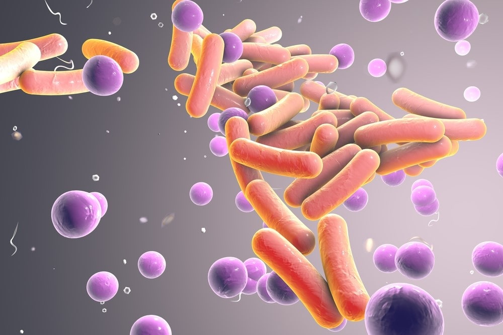 Enzyme amylase có ở đâu trong tự nhiên? 3