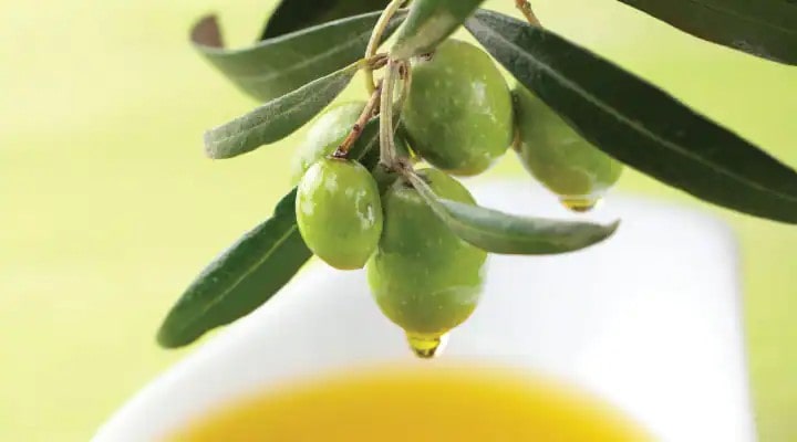 Chiết xuất lá Olive là gì? Dùng có tốt không? 3