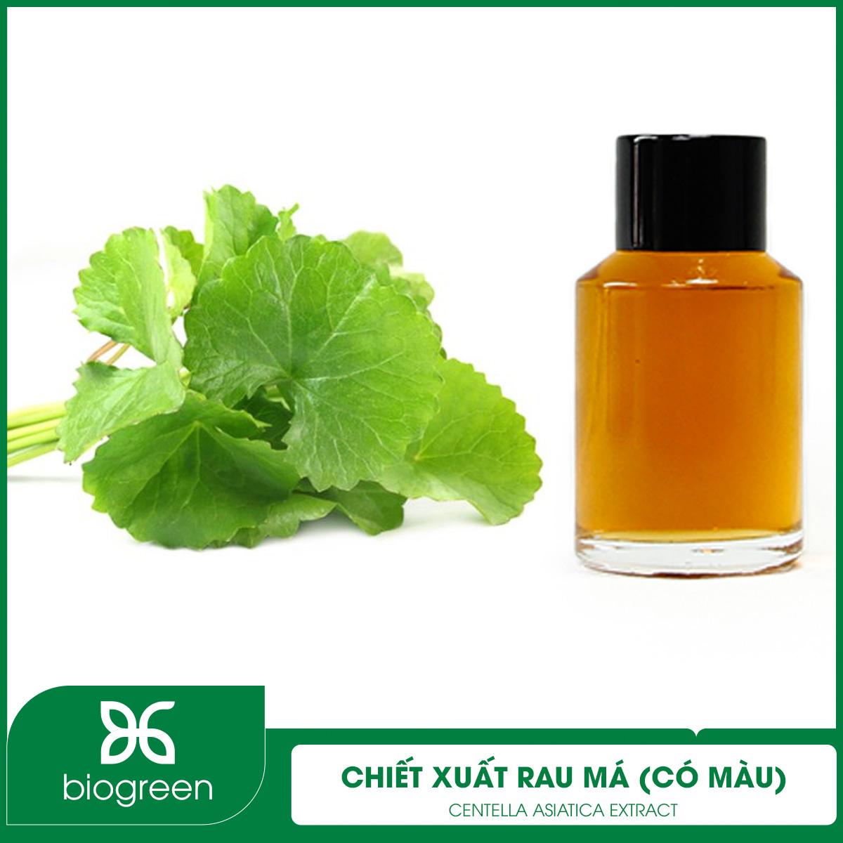 Chiết xuất Rau má (loại màu)
