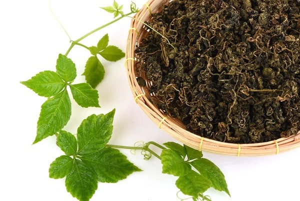 Mua giảo cổ lam ở đâu tốt nhất? Hà nội - TPHCM - Hải Phòng - Đà nẵng?