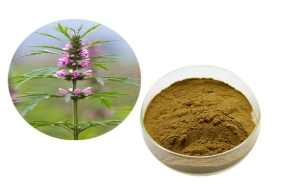 Cao ích mẫu giá bao nhiêu? Mua cao ích mẫu nguyên chất ở đâu? 2