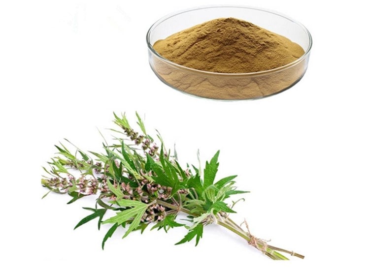 Cao ích mẫu giá bao nhiêu? Mua cao ích mẫu nguyên chất ở đâu? 3