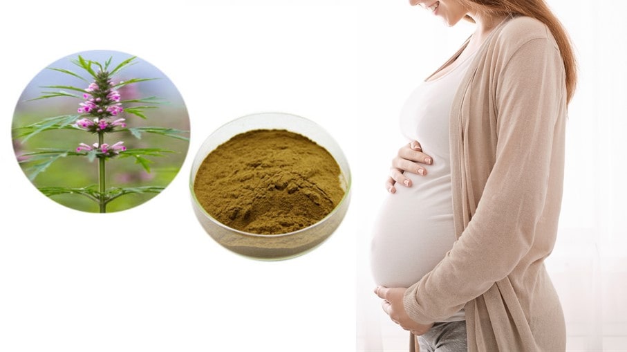 Uống cao ích mẫu khi mang thai có ảnh hưởng đến thai nhi không? 1