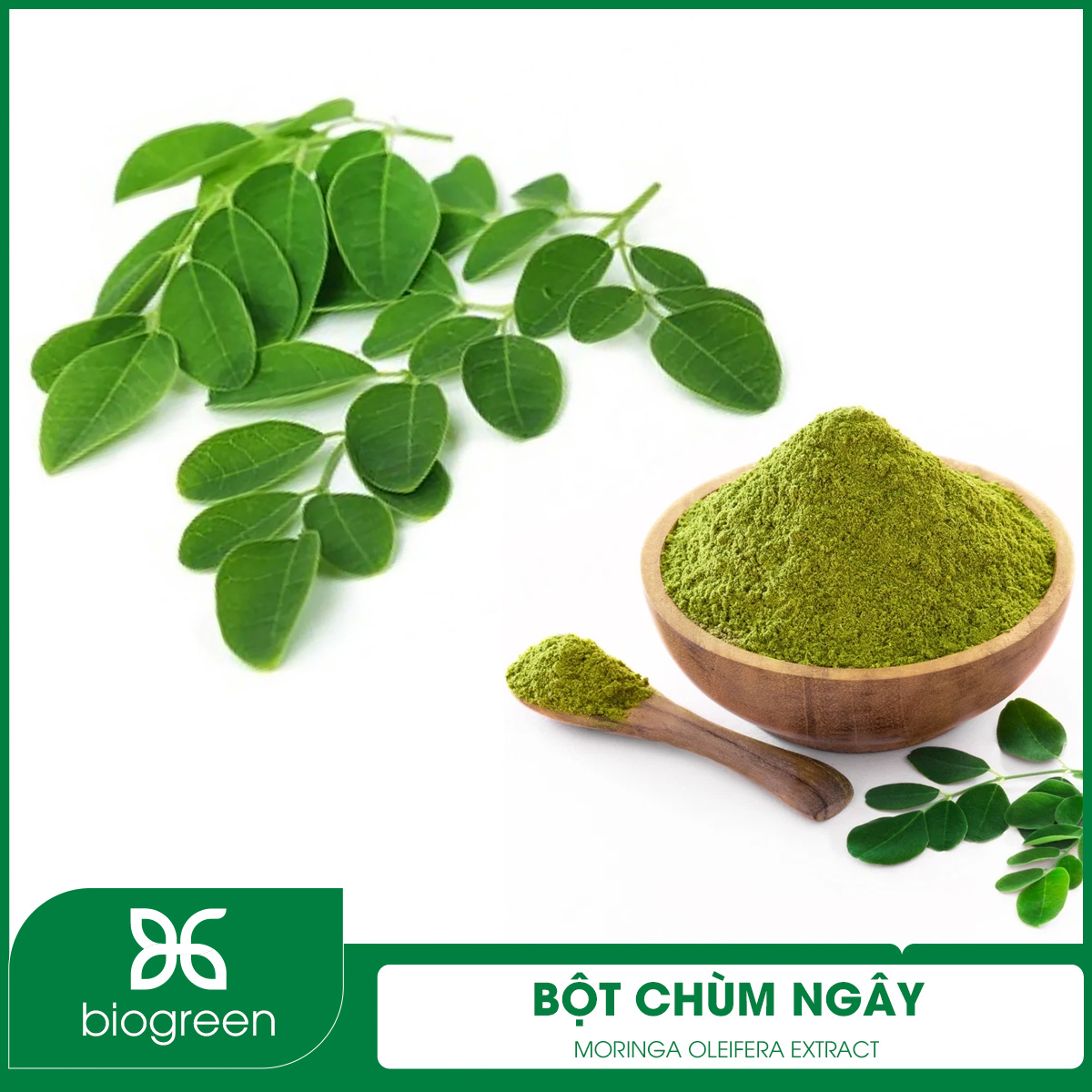 Bột chùm ngây