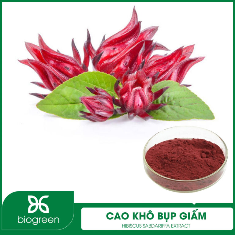 Cao khô Bụp giấm
