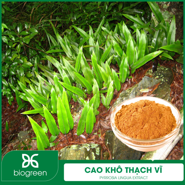 Cao khô Thạch vĩ
