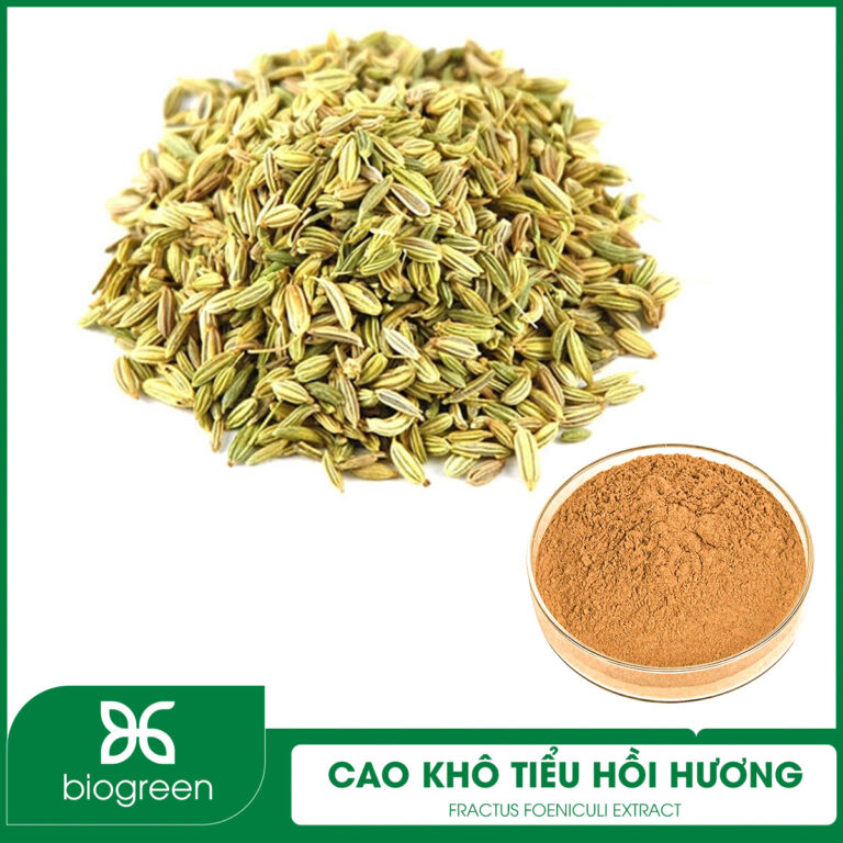 Cao khô Tiểu hồi hương
